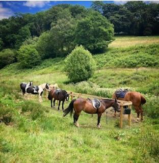 Tarr Farm Inn Liscombe Dış mekan fotoğraf