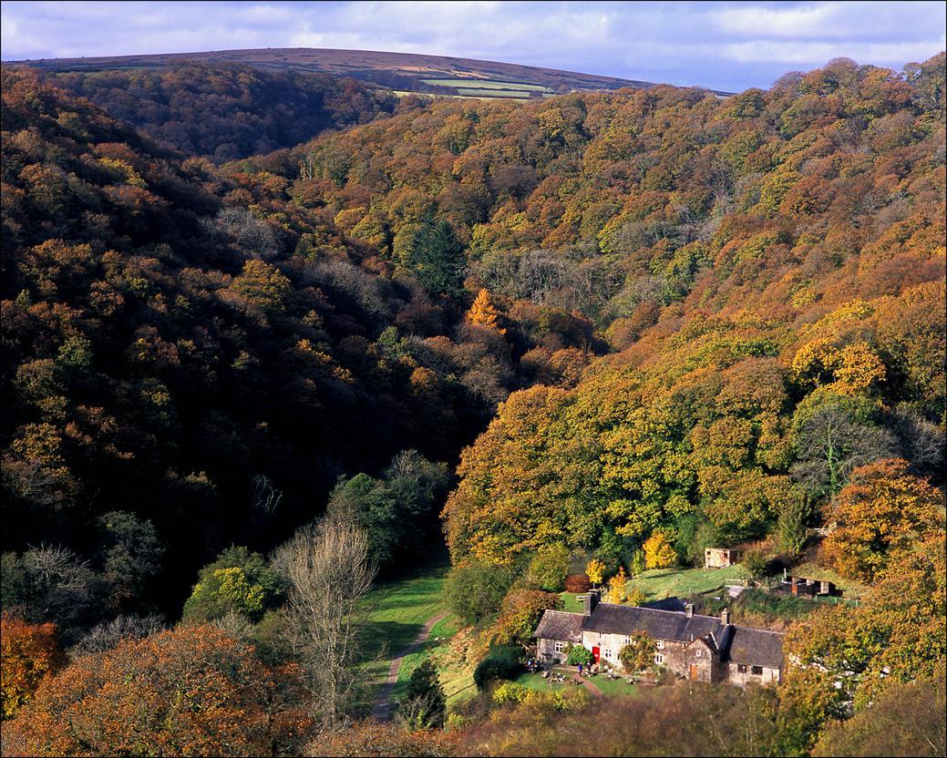 Tarr Farm Inn Liscombe Dış mekan fotoğraf